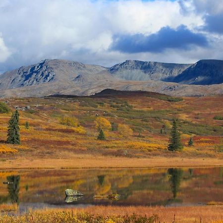 Caribou Lodge Alaska Талкитна Экстерьер фото