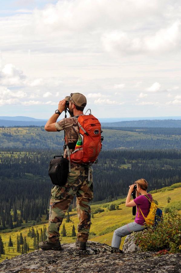 Caribou Lodge Alaska Талкитна Экстерьер фото
