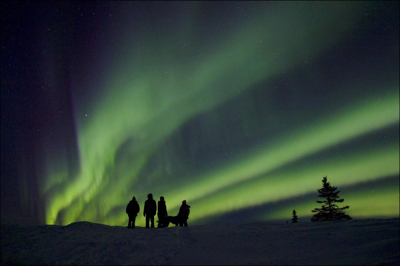 Caribou Lodge Alaska Талкитна Экстерьер фото