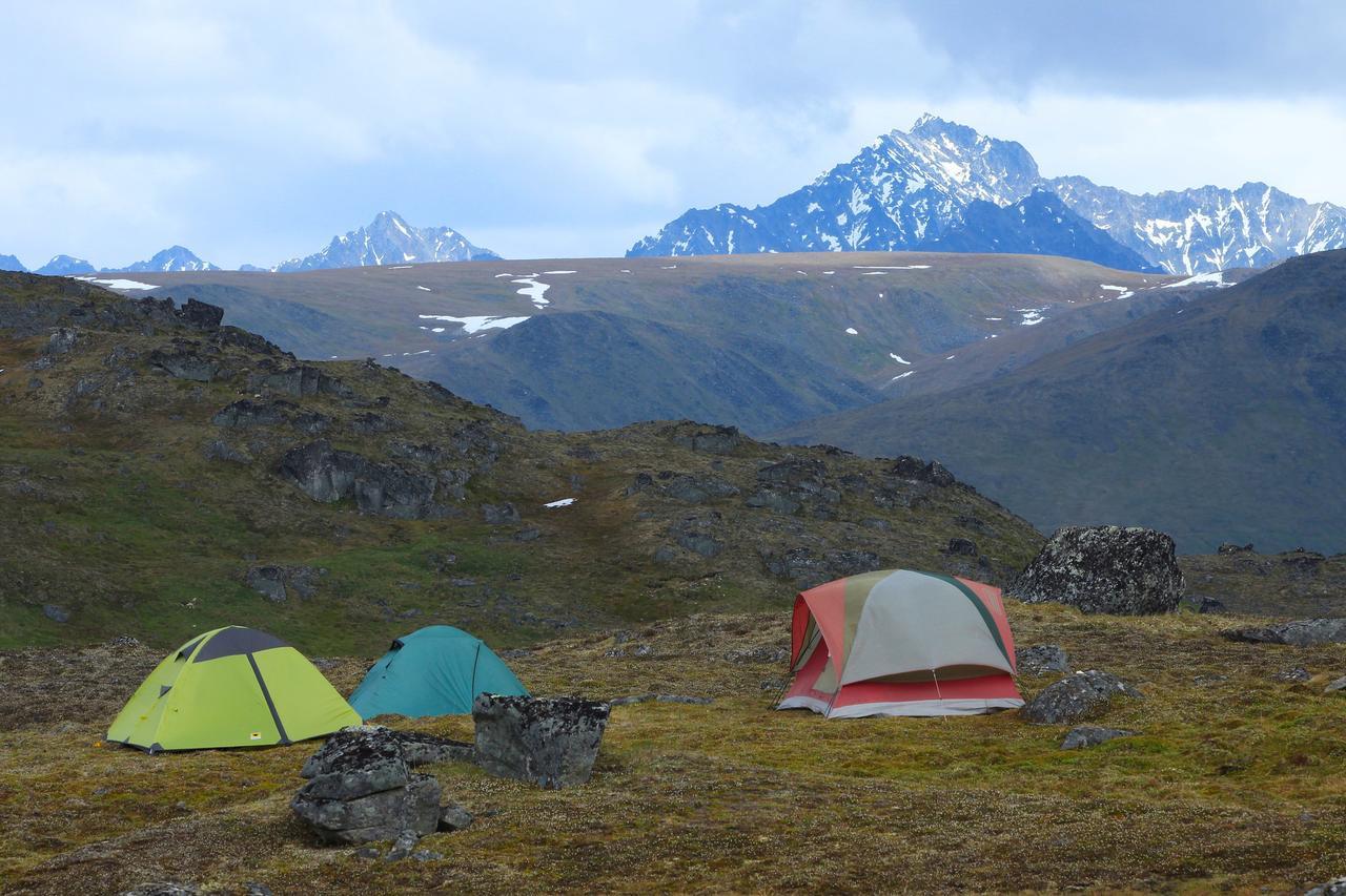 Caribou Lodge Alaska Талкитна Экстерьер фото