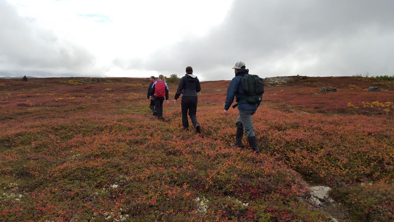 Caribou Lodge Alaska Талкитна Экстерьер фото