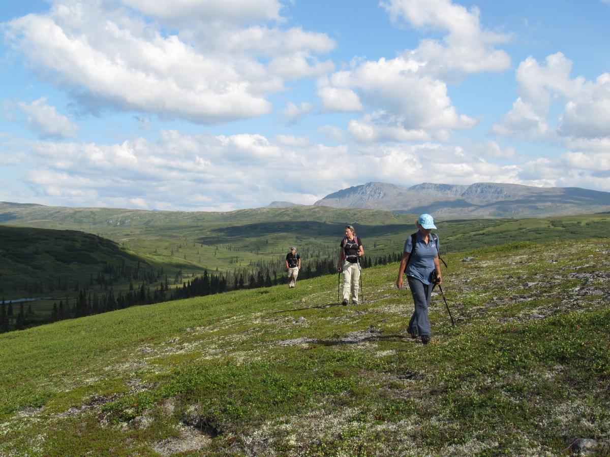 Caribou Lodge Alaska Талкитна Экстерьер фото