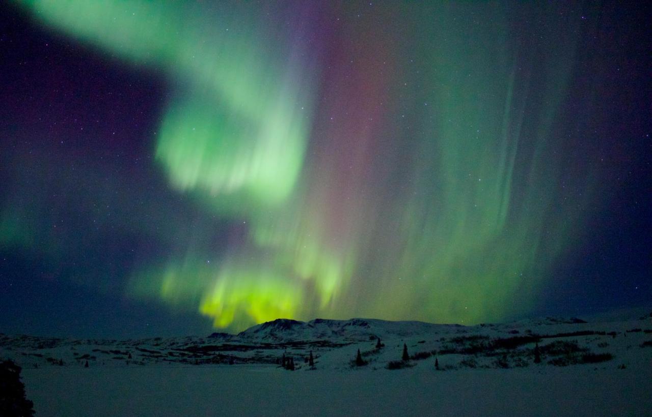 Caribou Lodge Alaska Талкитна Экстерьер фото