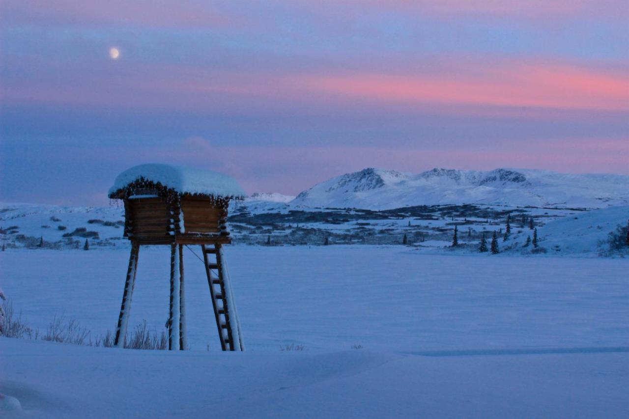 Caribou Lodge Alaska Талкитна Экстерьер фото
