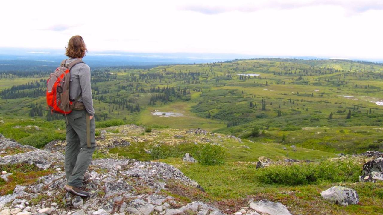 Caribou Lodge Alaska Талкитна Экстерьер фото