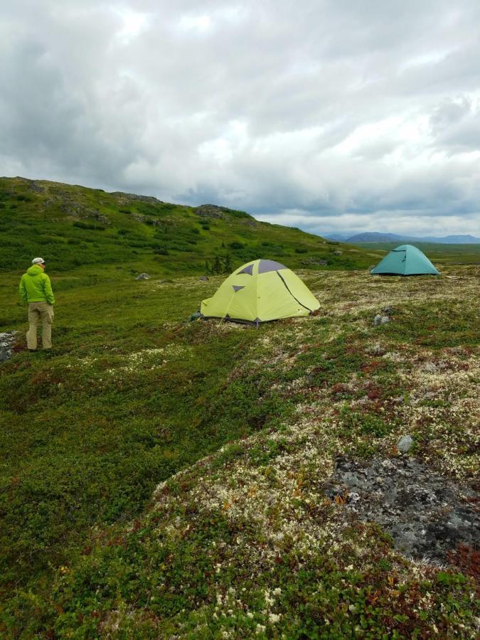 Caribou Lodge Alaska Талкитна Экстерьер фото