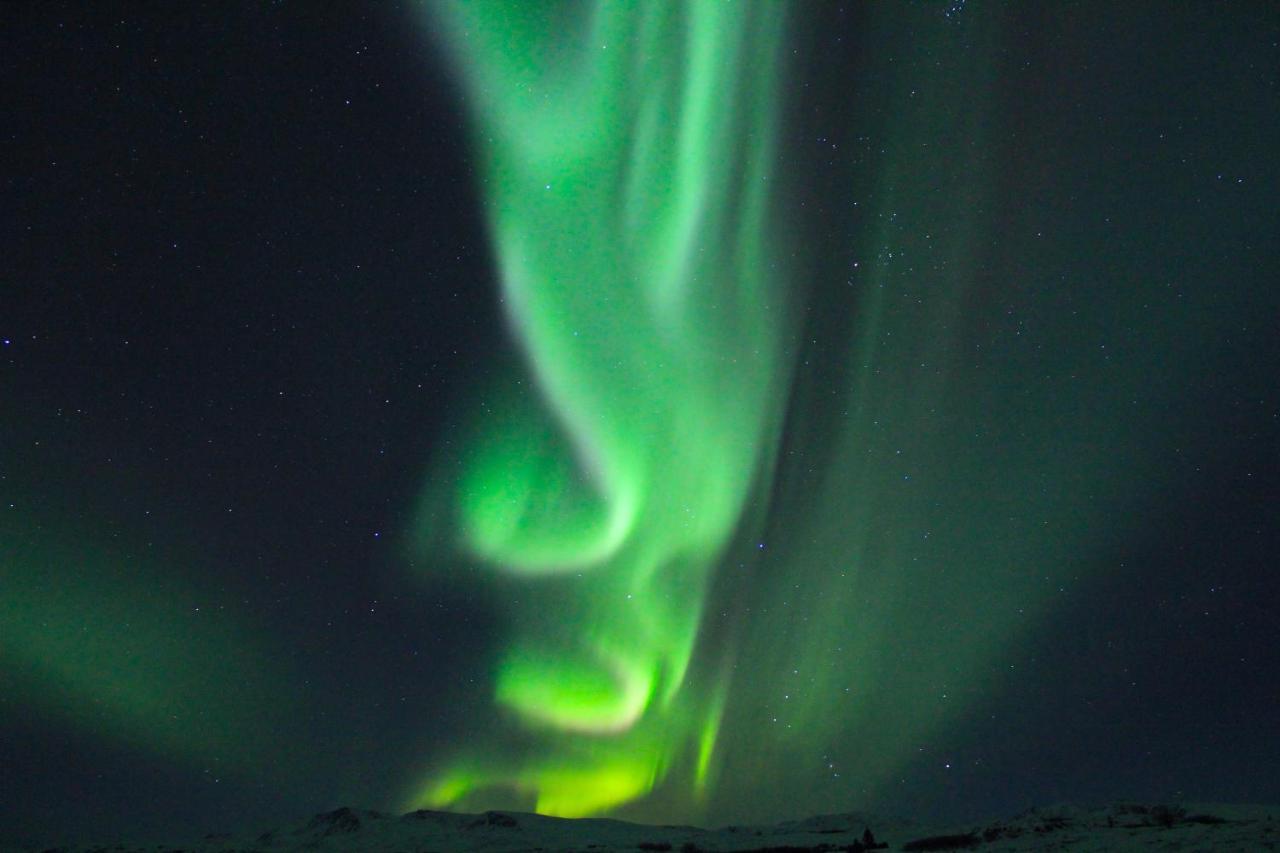 Caribou Lodge Alaska Талкитна Экстерьер фото