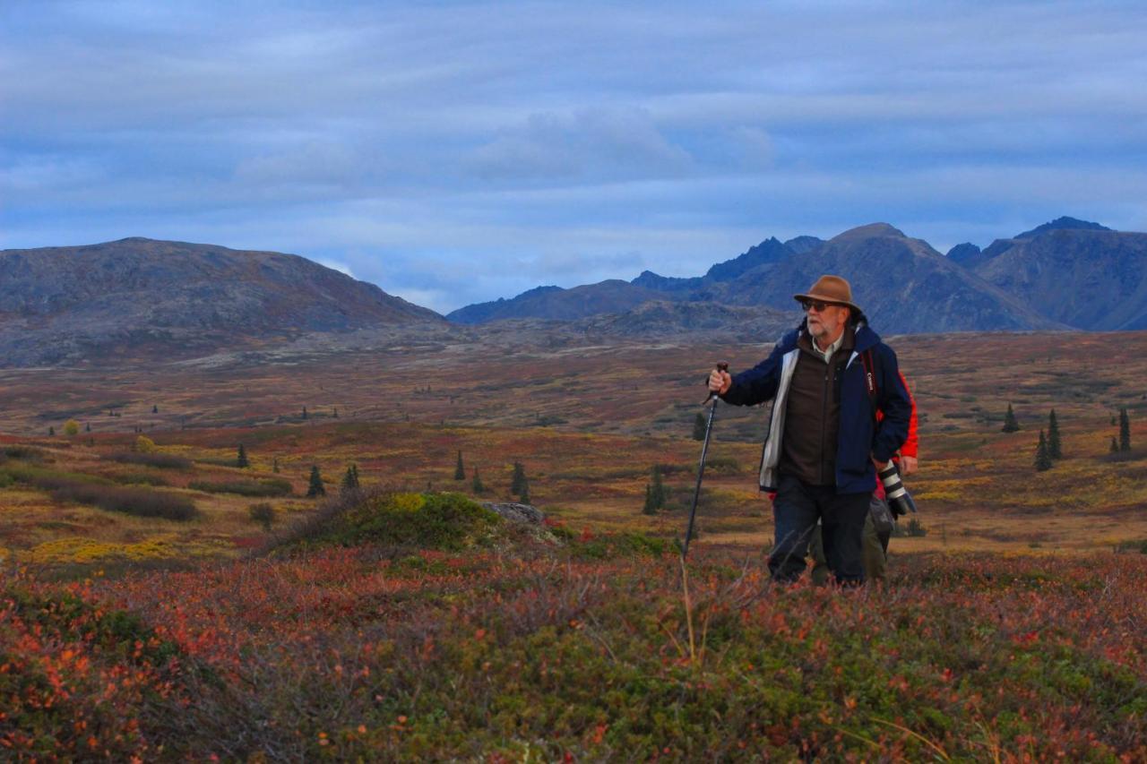 Caribou Lodge Alaska Талкитна Экстерьер фото