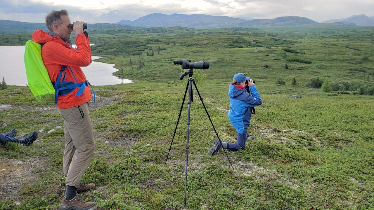 Caribou Lodge Alaska Талкитна Экстерьер фото