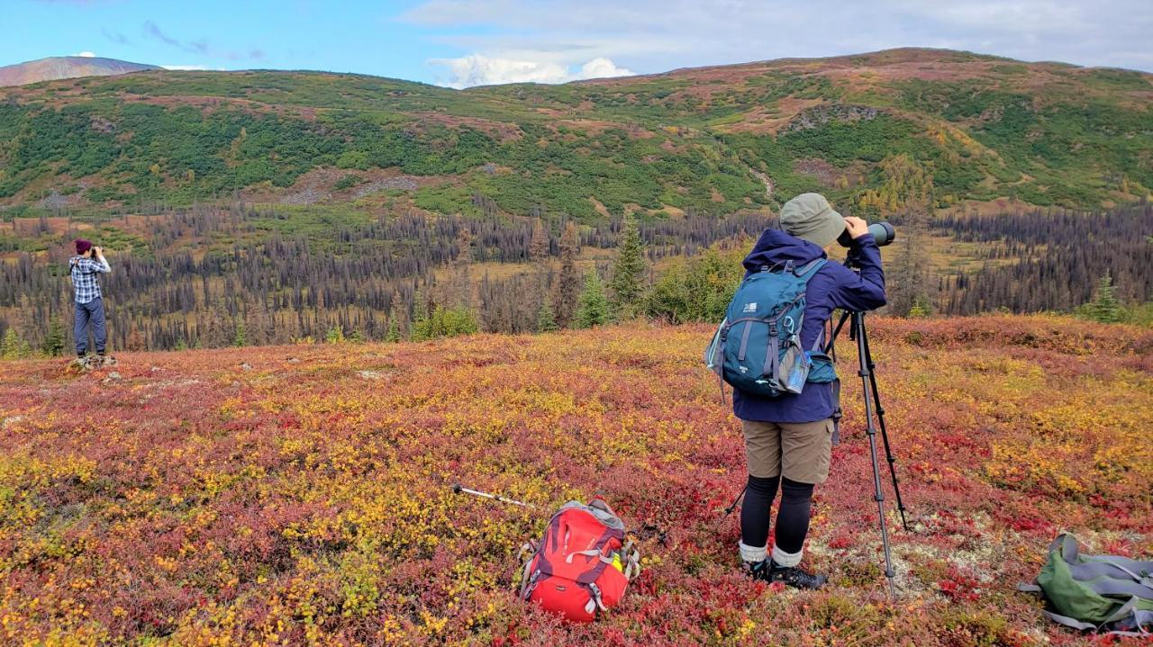 Caribou Lodge Alaska Талкитна Экстерьер фото