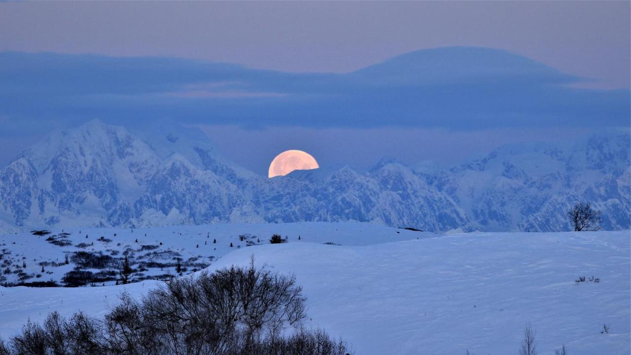 Caribou Lodge Alaska Талкитна Экстерьер фото