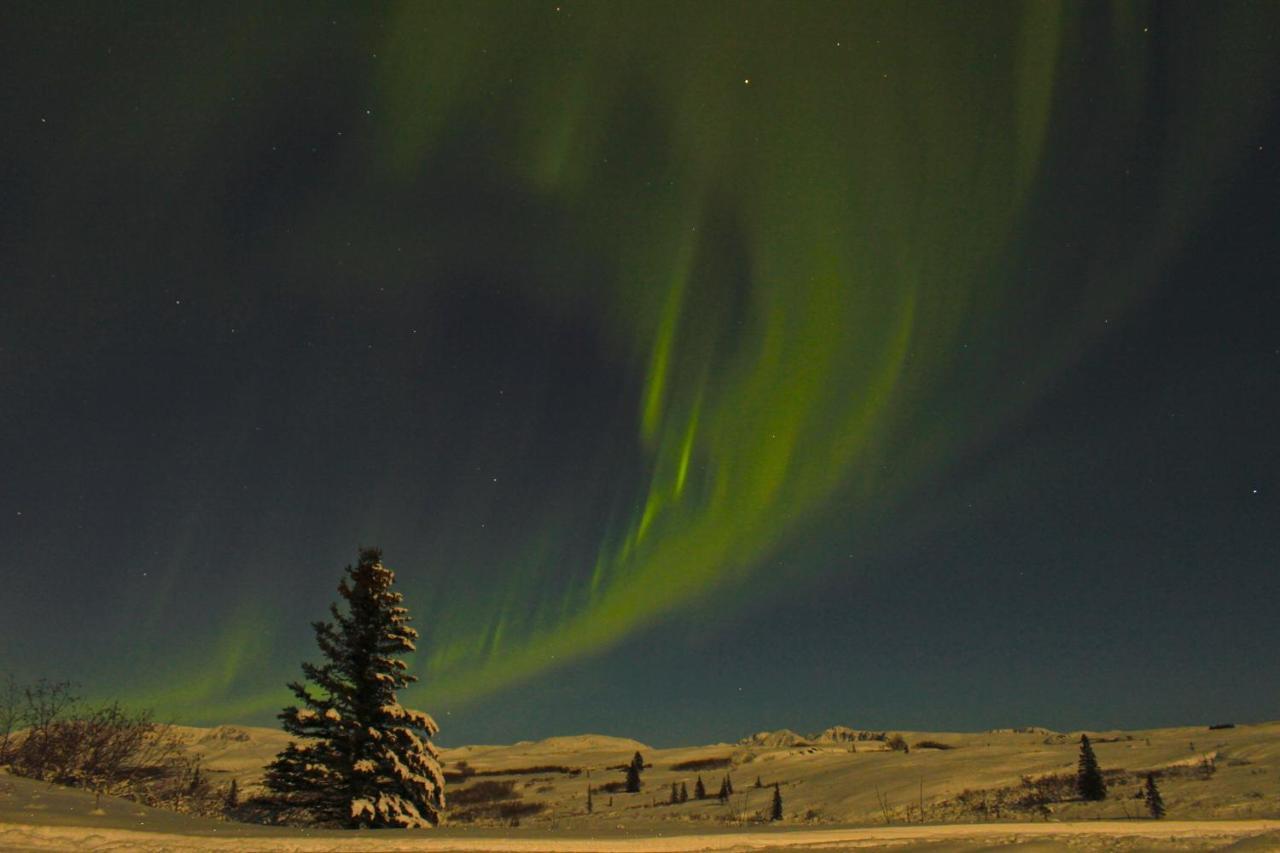Caribou Lodge Alaska Талкитна Экстерьер фото