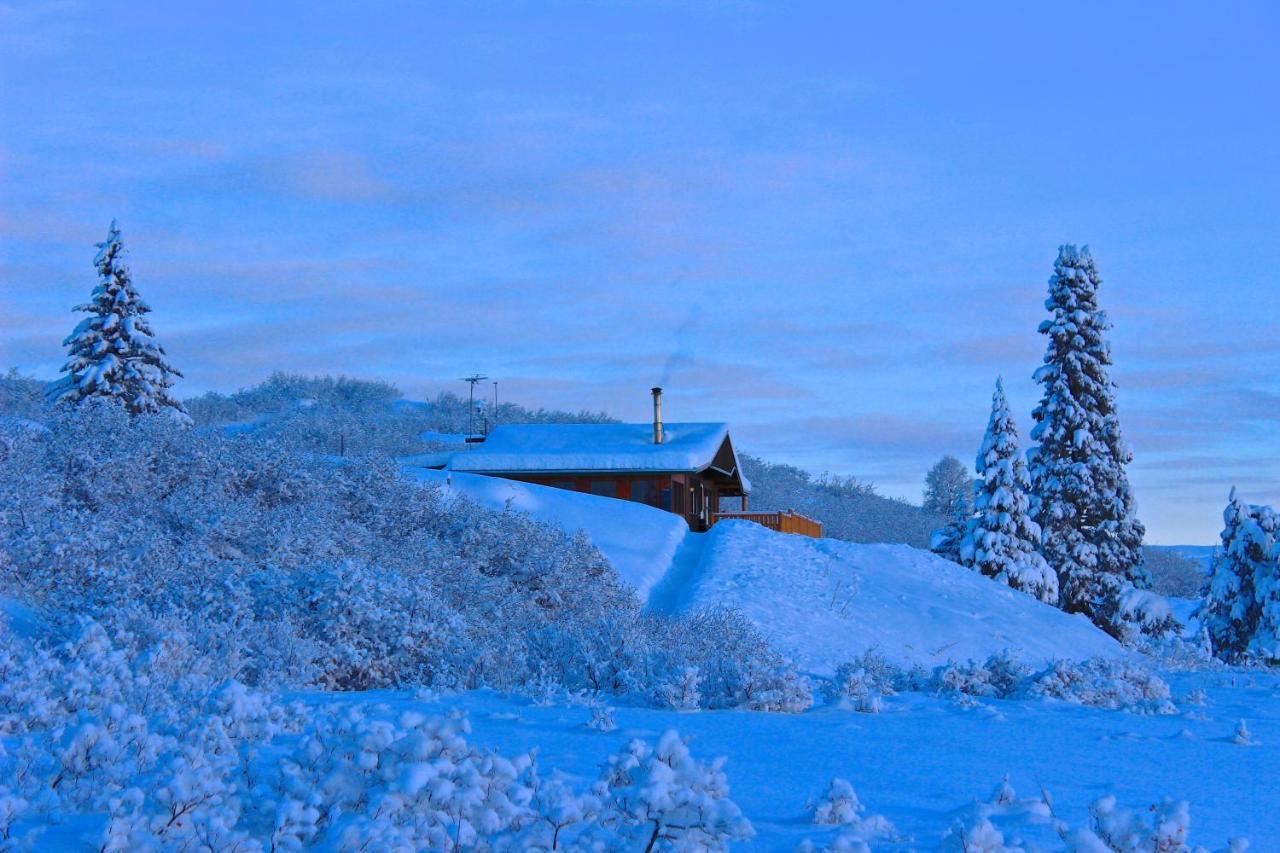 Caribou Lodge Alaska Талкитна Экстерьер фото